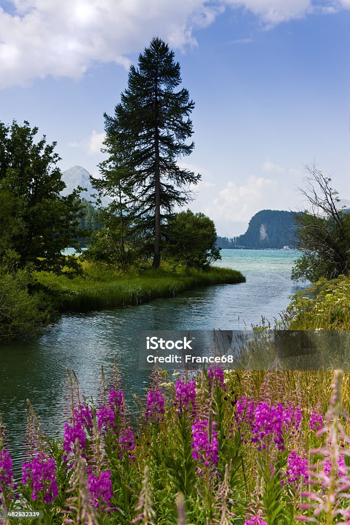 Caminar alrededor del lago de Sils (Suiza) - Foto de stock de Aire libre libre de derechos