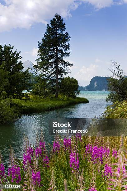 Walking Around Sils Lake Stock Photo - Download Image Now - Aspirations, Beauty In Nature, Boot