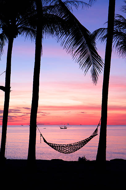 istock Hammock in the dawn by the sea 482532820