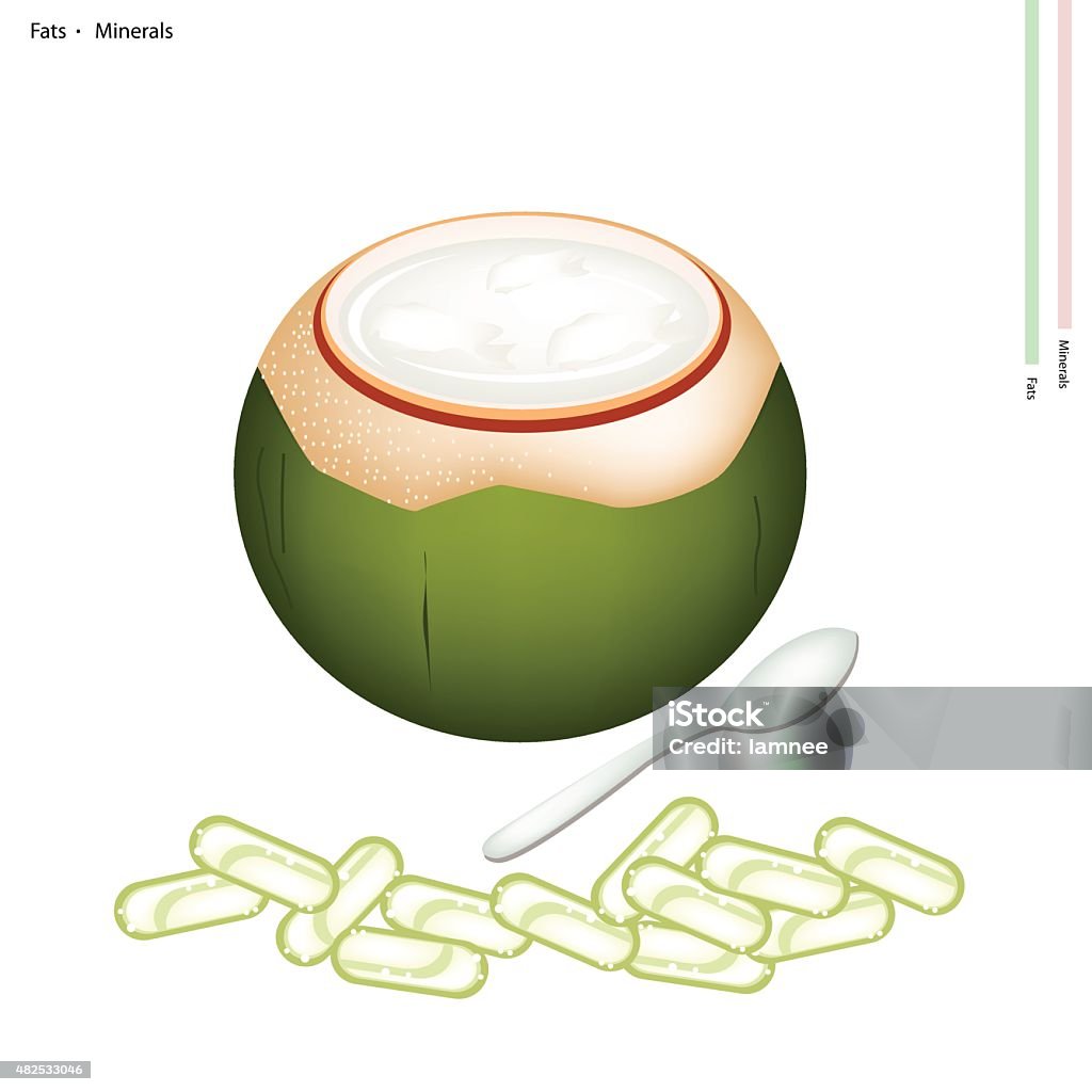 Coconut Jelly in Coconut Shell with Fats and Minerals Healthcare Concept, An Illustration of Sweet Coconuts Jelly in Coconut Shell with Fats and Minerals Tablet, Essential Nutrient for Lift. 2015 stock vector