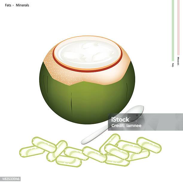 Coconut Jelly In Coconut Shell With Fats And Minerals Stock Illustration - Download Image Now