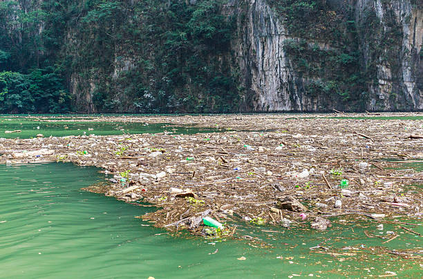 Environmental Protection Sumidero Canyon in Chiapas Mexico. Pollution of the river Grijalva with garbage, plastic containers.  mexico chiapas cañón del sumidero stock pictures, royalty-free photos & images