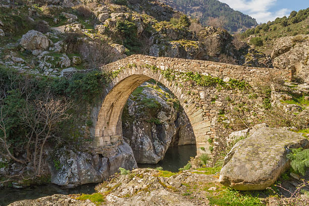 istock Genoese bridge at Asco in Corsica 482534215