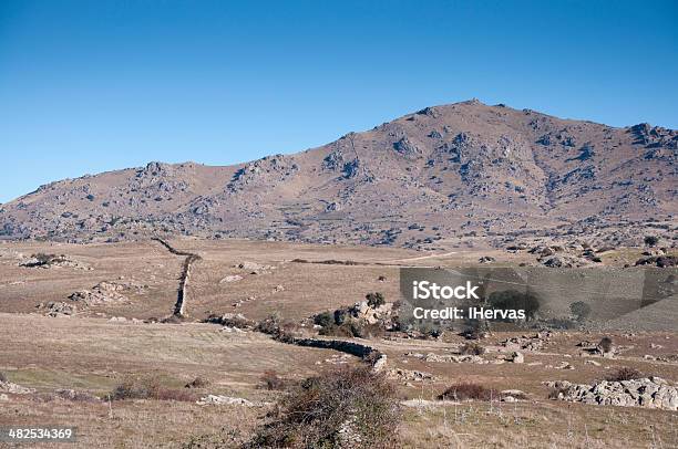 Dehesa De Navalvillar Stock Photo - Download Image Now - Agricultural Field, Agriculture, Blackberry - Fruit