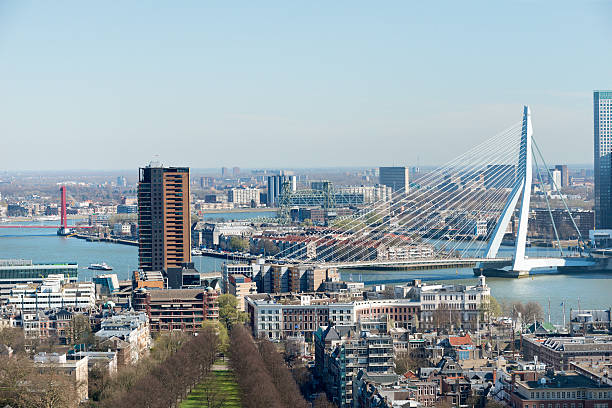 Aerial view of the Rotterdam skyline Rotterdam skyline with a clear blue sky with the Erasmus bridge. desiderius erasmus stock pictures, royalty-free photos & images