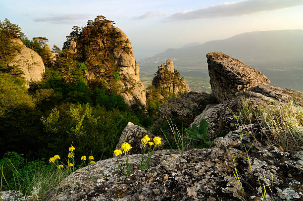 산 풍경, 골든 해질녘까지 - spring mountain demergi flower 뉴스 사진 이미지