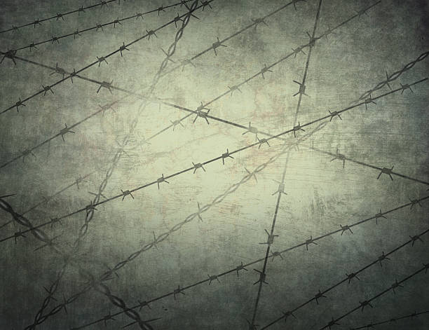 Texture of the prison bars in the background. Jail. (texture, background) author illustration war zone stock illustrations