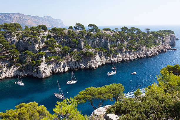 istock Calanques of Port Pin in Cassis 482536069