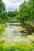 sommer-landschaft.jpg?b=1&s=170x170&k=20&c=N4VSnWS0Muq3suePyX3NuouXZpjZYLKeHBPDcWeuhds=
