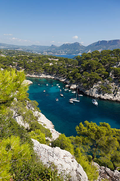 istock Calanques of Port Pin in Cassis 482536107