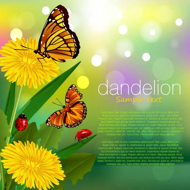 Vector illustration of Dandelion