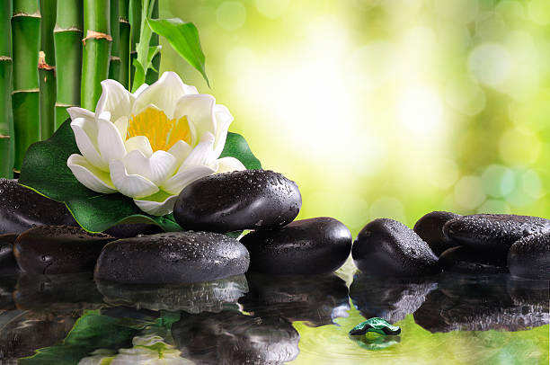 istock Water lily on lots of black stones reflected in water 482536970