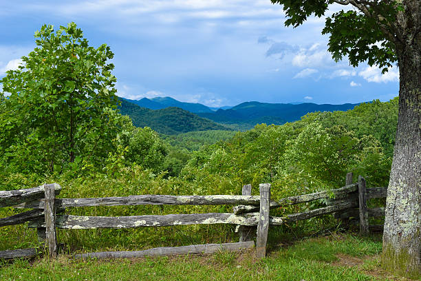 istock Scenic Overlook of Blue Ridge Mountains 482537060