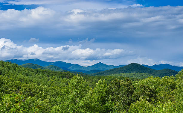 malerischer blick auf die blue ridge mountains - blue ridge mountains appalachian mountains appalachian trail forest stock-fotos und bilder