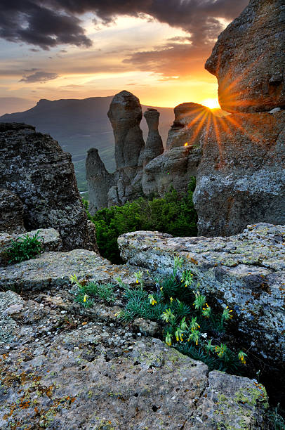 górski krajobraz z kamieni i chmury - spring mountain demergi flower zdjęcia i obrazy z banku zdjęć