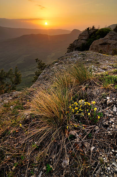 paisaje de montaña con rocas y nubes - spring mountain demergi flower fotografías e imágenes de stock