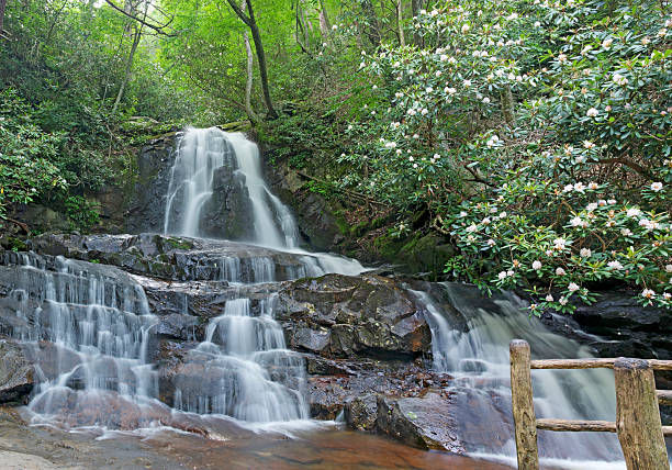 laurel 滝、グレートスモーキー山脈国立公園 - waterfall great smoky mountains great smoky mountains national park tennessee ストックフォトと画像
