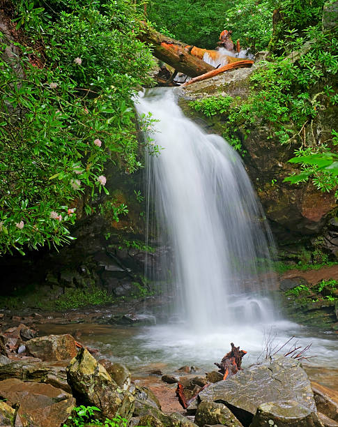водопад гротто большие дымные горы национальный парк, штат теннесси - grotto falls стоковые фото и изображения