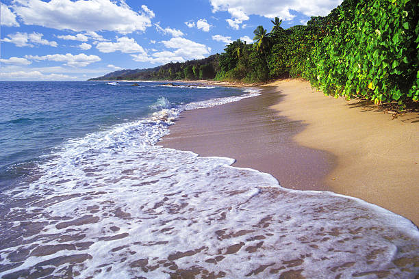 spiaggia perfetta di giorno - penisola di nicoya foto e immagini stock