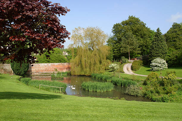 istock Large neat lawned garden 482543225