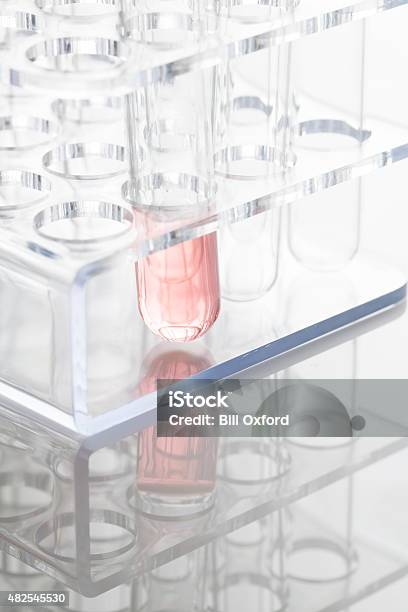 Test Tubes Stock Photo - Download Image Now - 2015, Biology, Biotechnology
