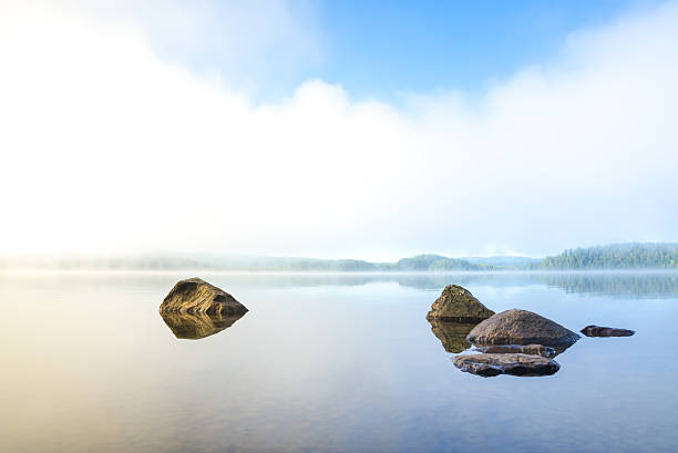 früh und harmonische morgen mit nebel auf den see - forrest lake lichtstimmung nebel stock-fotos und bilder