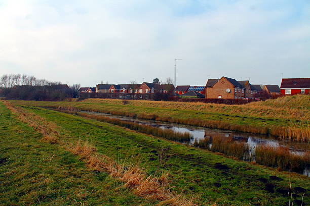 istock Norfolk Farms 482546578