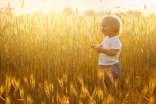 istock Happy little boy posing in the field 482546955