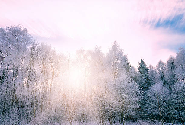 istock not frozen pond in winter 482548175