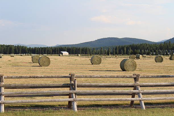 Crop Circles #5 There are Rolls rail fence stock pictures, royalty-free photos & images