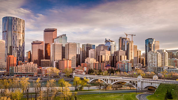 calgary city skyline with center street bridge and bow river Calgary, Alberta city skyline with center street bridge and the Bow River along Memorial Drive bow river stock pictures, royalty-free photos & images