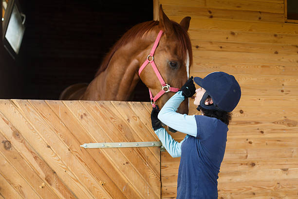 istock Rider with a horse 482555750