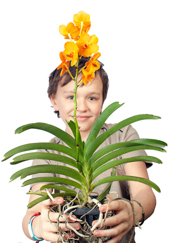 Boy with Orchid. 