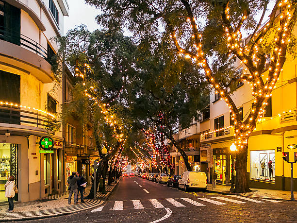 Funchal Funchal, Portugal - December 10, 2013: Pedestrians in the streets of Madeira. Colorful lights as a Christmas decoration hanging in the trees. funchal christmas stock pictures, royalty-free photos & images