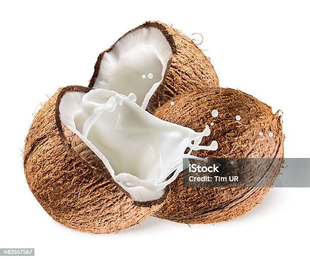 Coconut With Milk Splash On White Background Stock Photo - Download Image Now - Coconut Milk, Splashing, White Background