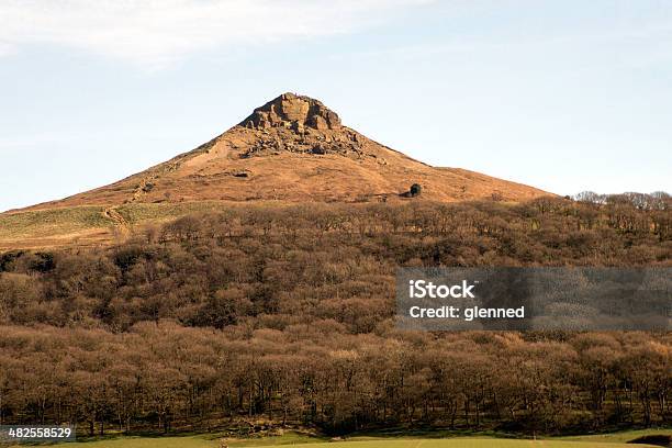 Photo libre de droit de Roseberry Topping North Yorkshire Moors banque d'images et plus d'images libres de droit de Roseberry Topping - Roseberry Topping, Admirer le paysage, Aiguille rocheuse