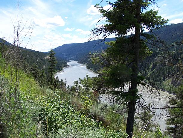 istock The mighty Fraser in the Southern Interior 482558543