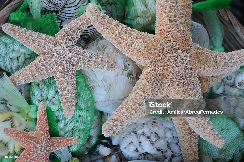 Sea stars Sea stars and sea chells for sale Mexico Zihuatanejo Zihuatanejo Stock Photo