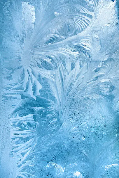 Photo of Abstract frost