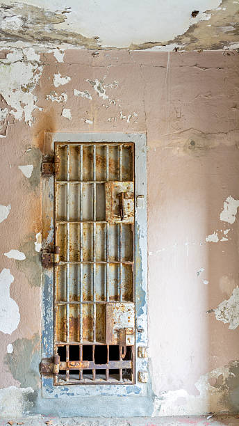 istock Steel bars on an old Prison door 482558937