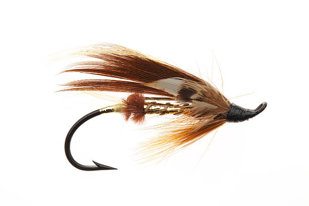 istock Fly Fishing Lure 482559544