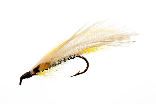 istock Fly Fishing Lure 482559546