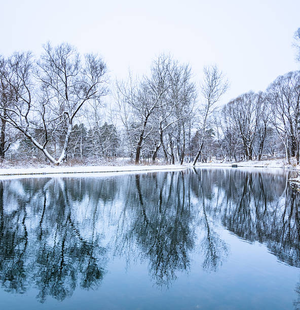 istock not frozen pond in winter 482559695