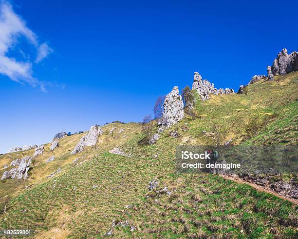 Wanderer Auf Die Alpen Mountain Trail Stockfoto und mehr Bilder von Abenteuer - Abenteuer, Aktivitäten und Sport, Alpen