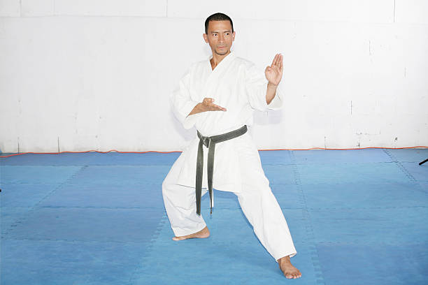 istock Black belt karate man with hand in spade position 482559815