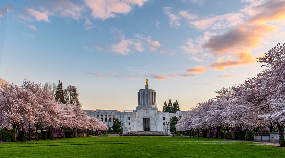 State Capitol Park in Salem is a beautiful place, especially in spring time when cherry trees are in bloom.