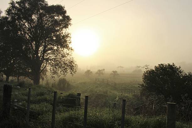istock Misty sunrise in the country 482564236