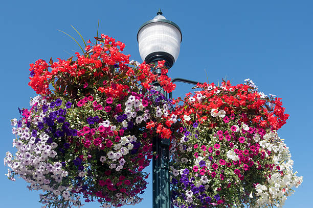 istock Streetlamp And Flower Baskets 482564396