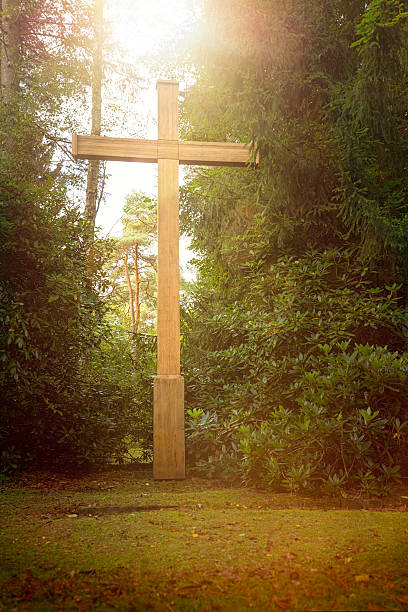 istock big wood cross with sunbeams on a meadow 482564648