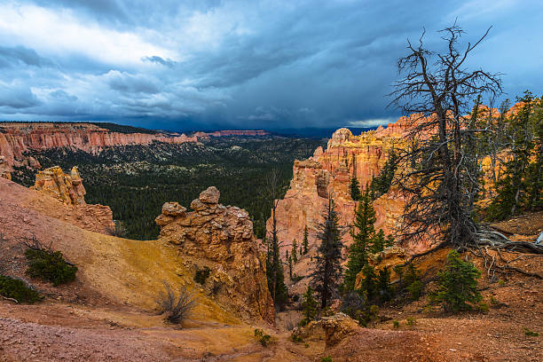 istock Ponderosa Canyon Bryce National Park 482564808